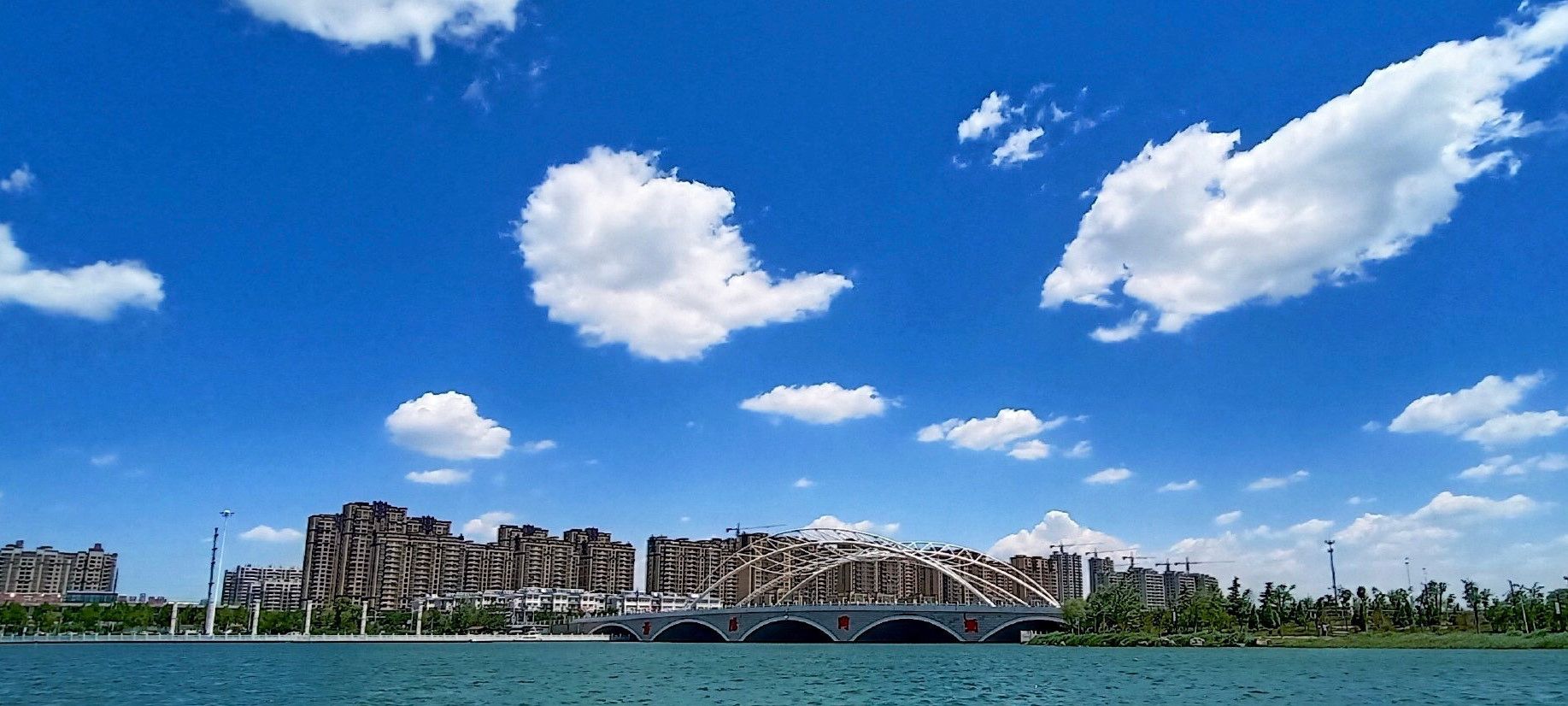 阳谷金水湖大桥图片