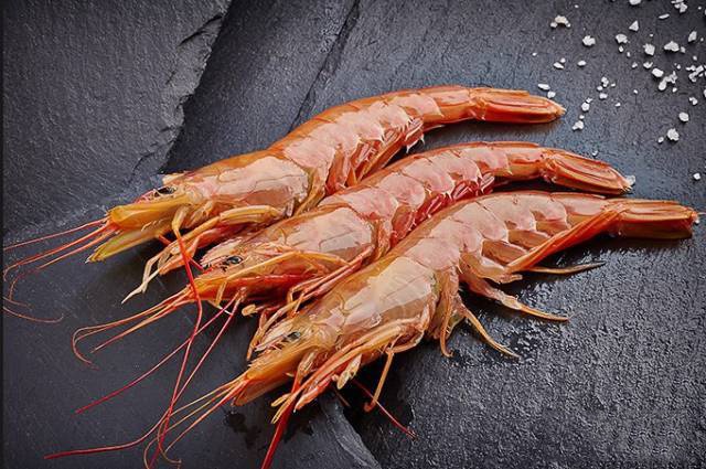 中国市场需求疲软阿根廷红虾滞销,捕捞季或将推迟2个月!