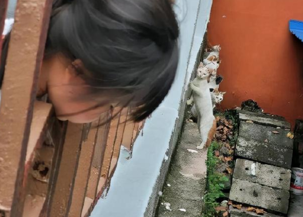 人类幼崽的成长有多感人 人类幼崽的迷惑行为休闲区蓝鸢梦想 - Www.slyday.coM