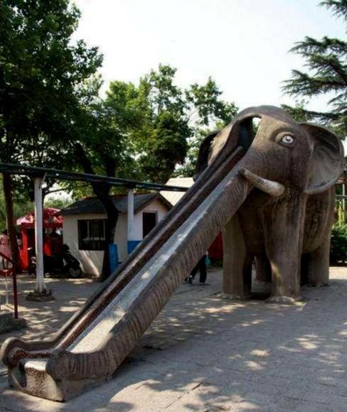 一头43岁的"大象",与许昌人的不解情缘,感情深厚|许昌|滑梯|大象_新浪