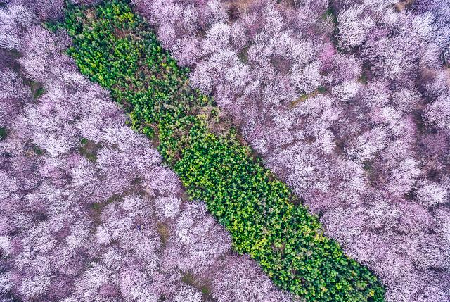 网红城市西安究竟有多美?看看摄影师这些航拍照片你就知道了休闲区蓝鸢梦想 - Www.slyday.coM 网红城市西安究竟有多美?看看摄影师这些航拍照片你就知道了休闲区蓝鸢梦想 - Www.slyday.coM