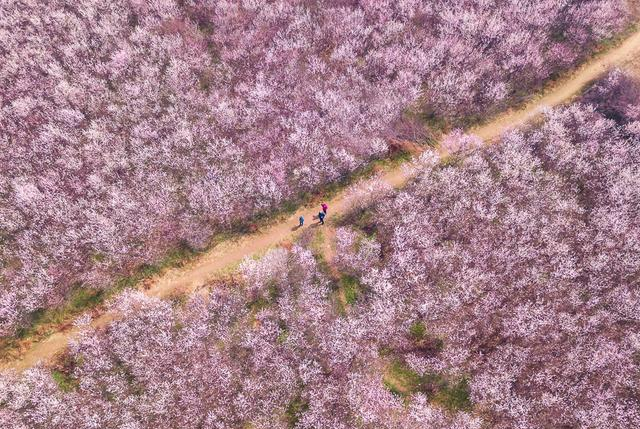 网红城市西安究竟有多美?看看摄影师这些航拍照片你就知道了休闲区蓝鸢梦想 - Www.slyday.coM 网红城市西安究竟有多美?看看摄影师这些航拍照片你就知道了休闲区蓝鸢梦想 - Www.slyday.coM