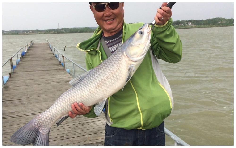 垂钓大青鱼好用的技巧,饵料和小药配方|青鱼|鱼|小药_新浪新闻