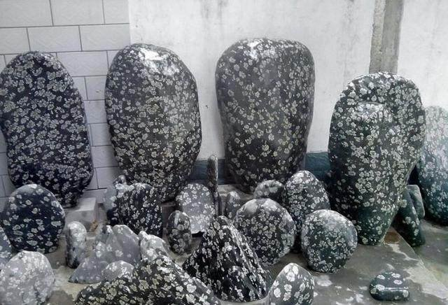 农民在山上偶然发现了一块带花的石头专家鉴定竟说能堪比玉石