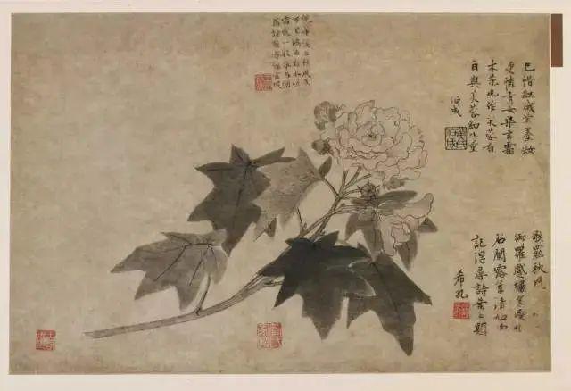 元代王渊的水墨花鸟画|桃竹锦鸡图|锦鸡图|美术馆| 芙蓉图| 锦鸡棘竹图_新浪新闻