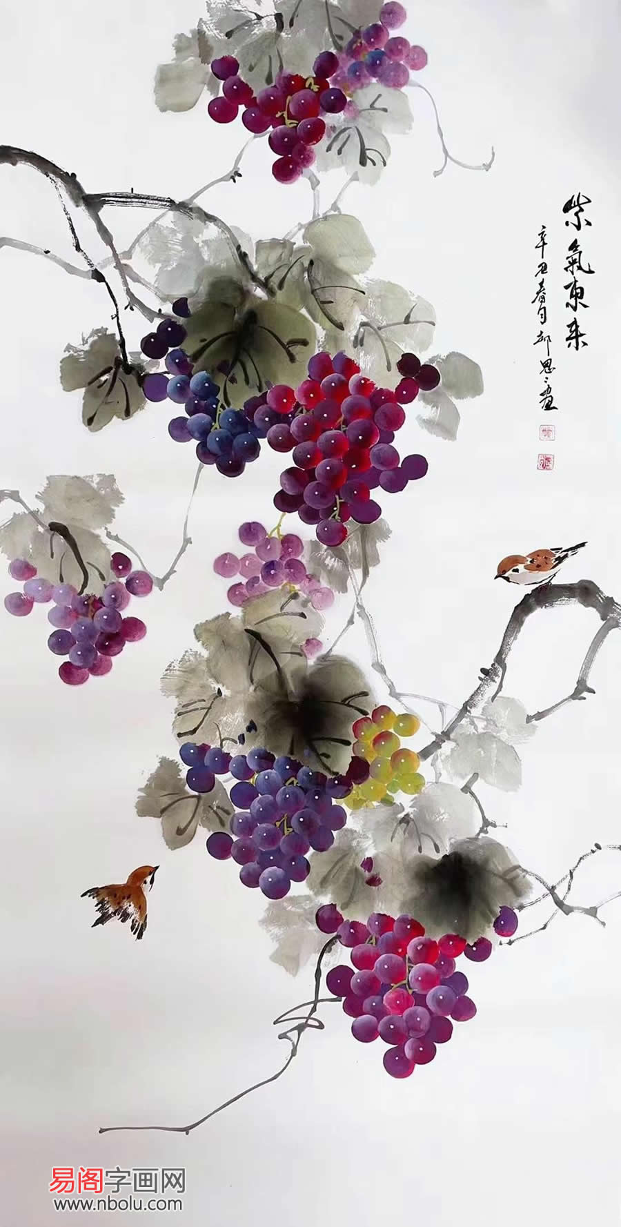 郝思思的葡萄那么受欢迎到底是人漂亮还是画真好