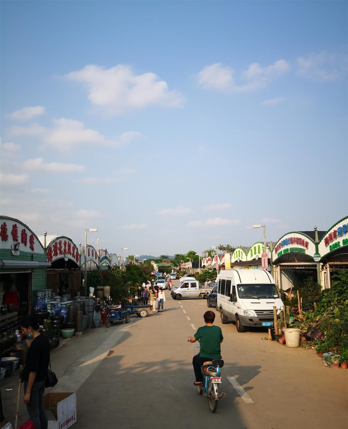 周末的深港花卉市场,这里还能免费停车