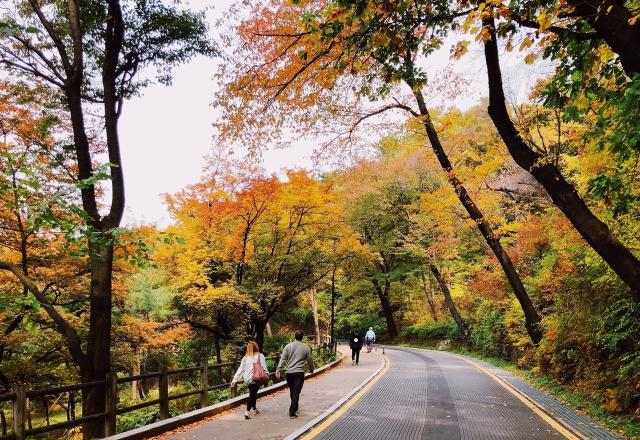 比上海东京平庸一些，但<a href=