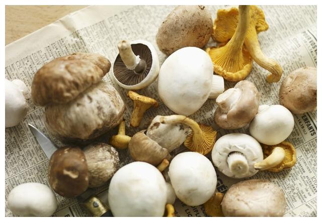 导致肾衰,高尿酸的人,这件事上不能放纵|高尿酸|嘌呤|痛风_新浪新闻