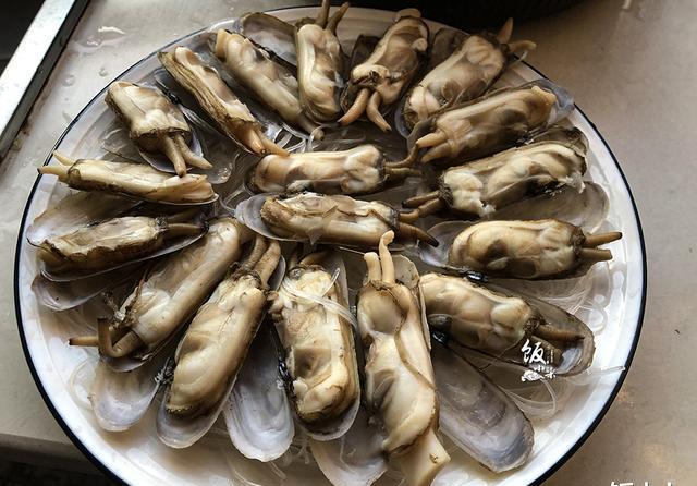 春天最肥的贝壳类海鲜,才10块钱一斤,比虾肉有营养,补充蛋白质