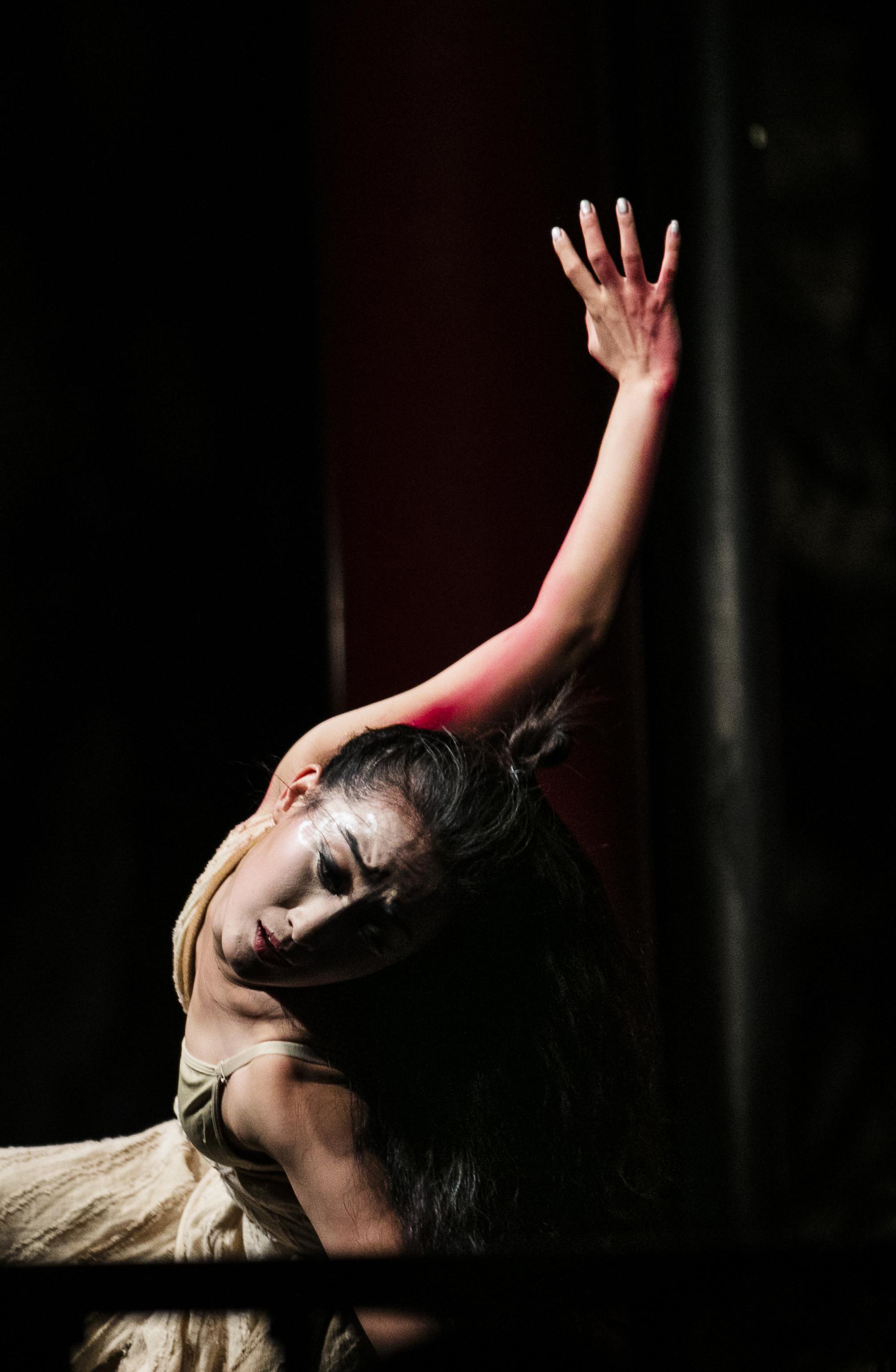 现代舞剧《二十四节气·花间十二声》