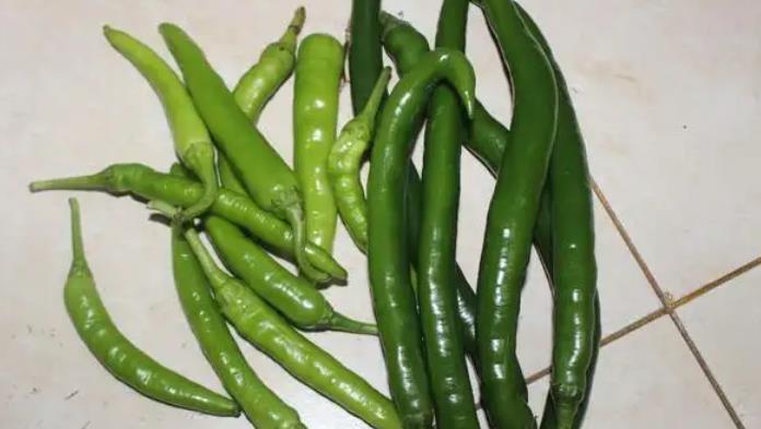 线椒比较硬,脆,杭椒比较皮薄偏软,口感上来说线椒比较辣,杭椒辣度适中