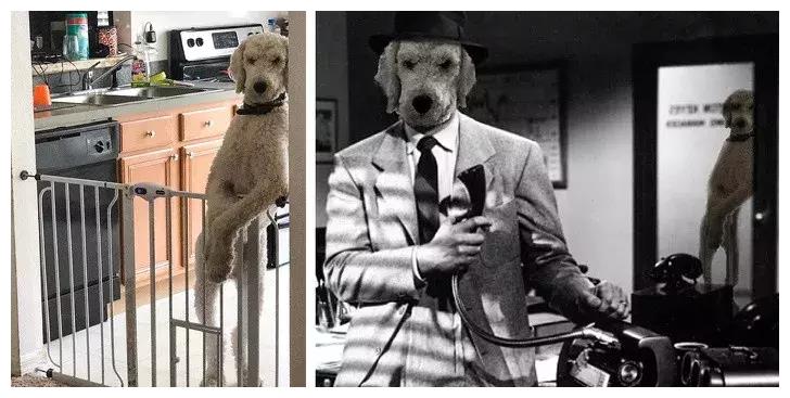 新的奇异博士世界本尼迪克特终于失去了它!