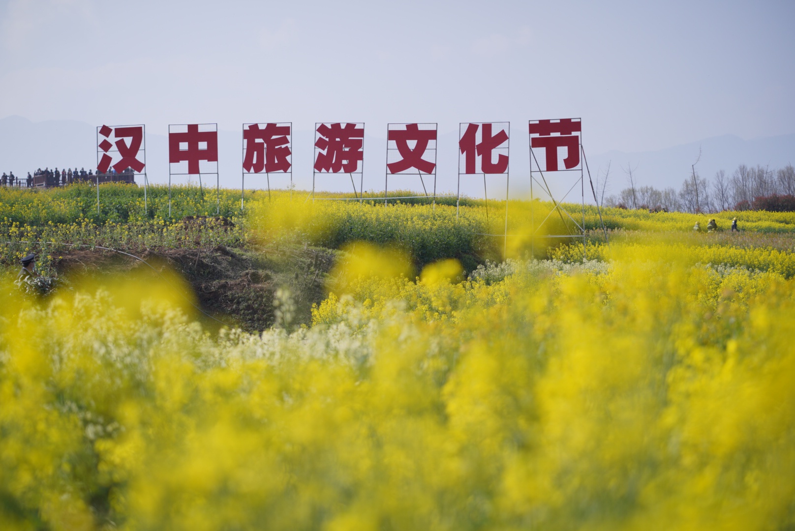 2021中国最美油菜花海汉中旅游文化节在西乡启动