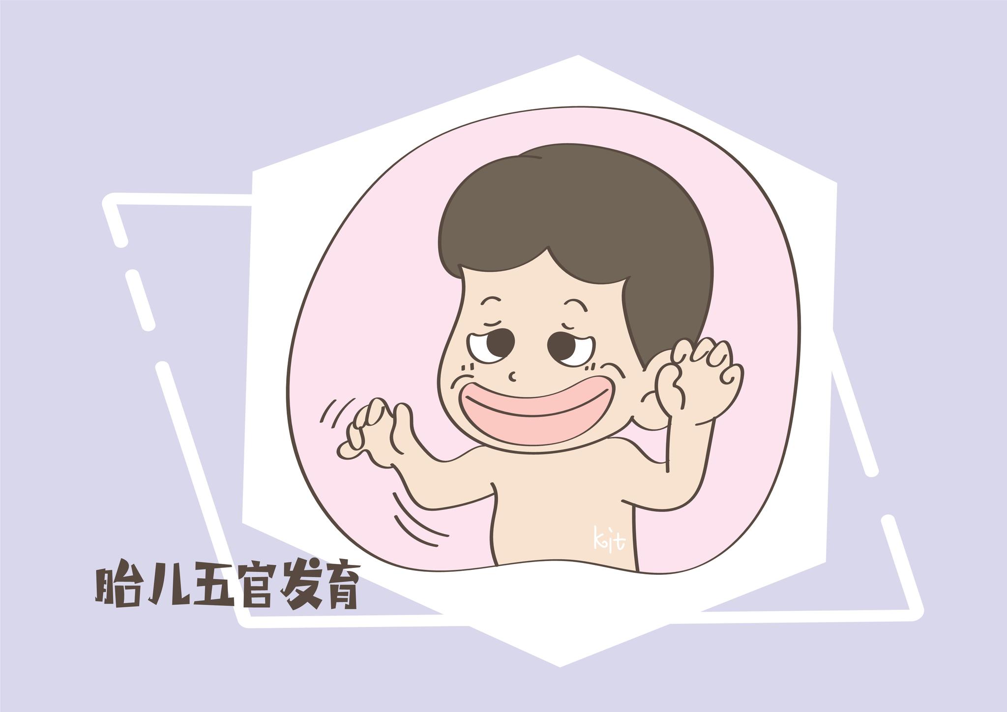 胎儿这些地方已逐渐成型,孕妈要格外小心|胎儿|成型|发育_新浪新闻