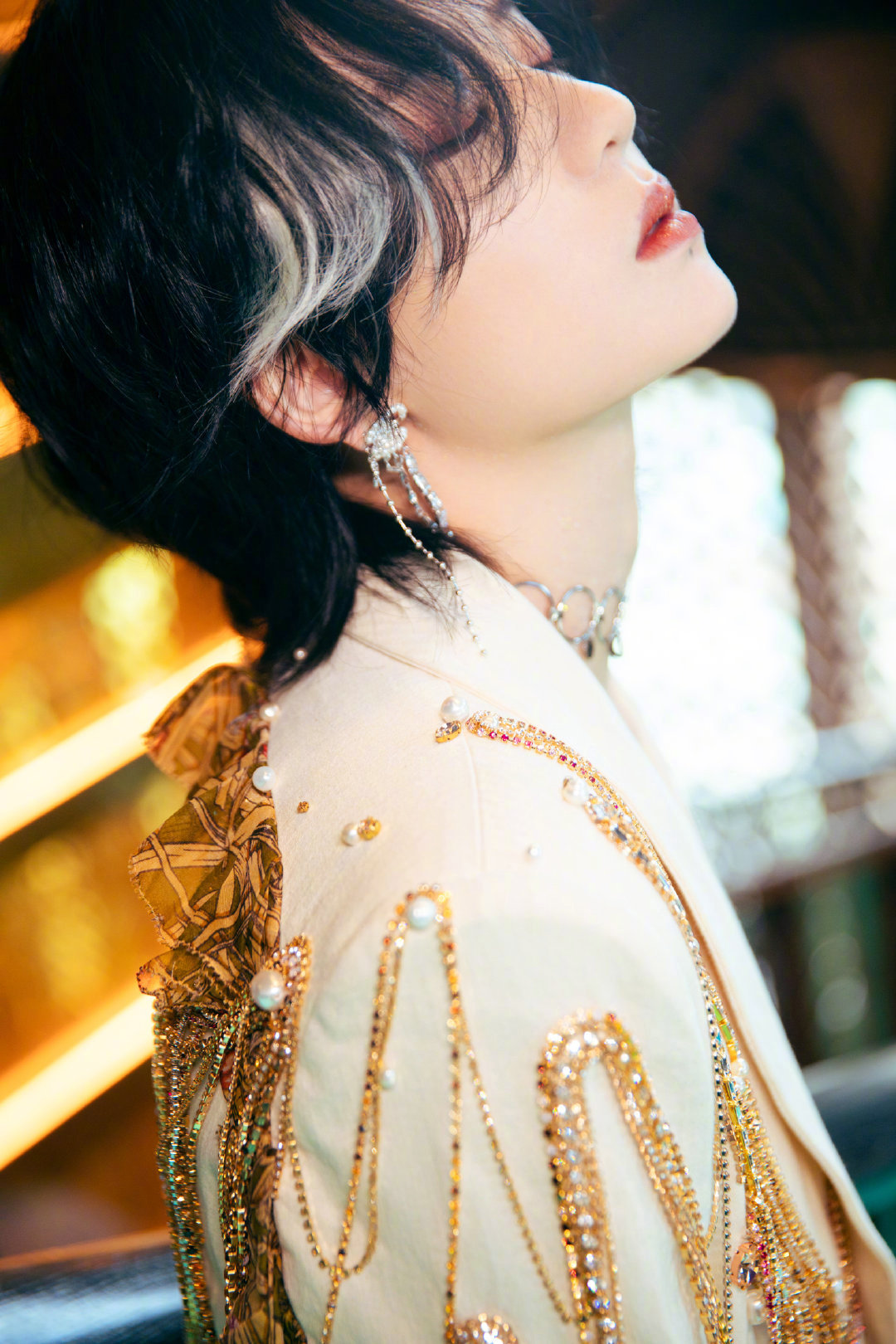 陆柯燃更新一组时尚大片,身穿宫廷风外套,搭配金属感配饰_高清图集