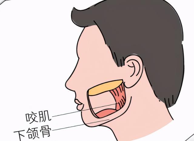 脸越来越大发腮不可忽视
