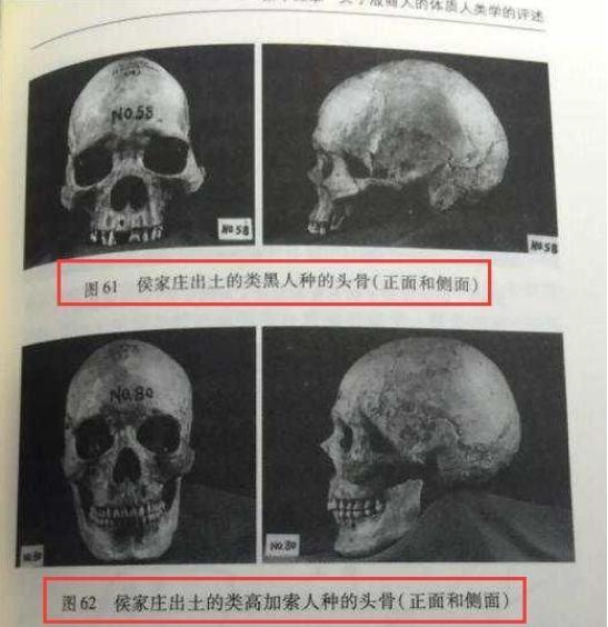 殷墟中的白人头骨，揭开了中国最危急一页：差点和古<a href=