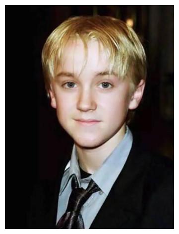 五,韦斯莱兄弟:菲尔普斯兄弟这两位可以说是典型的英国帅哥模样了