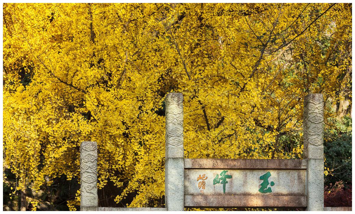 全国第一个通地铁的县，人均GDP超过<a href=