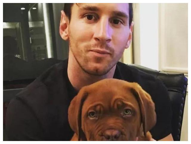 并且在浩克长大之后,梅西在家里足球场训练时也经常看到浩克