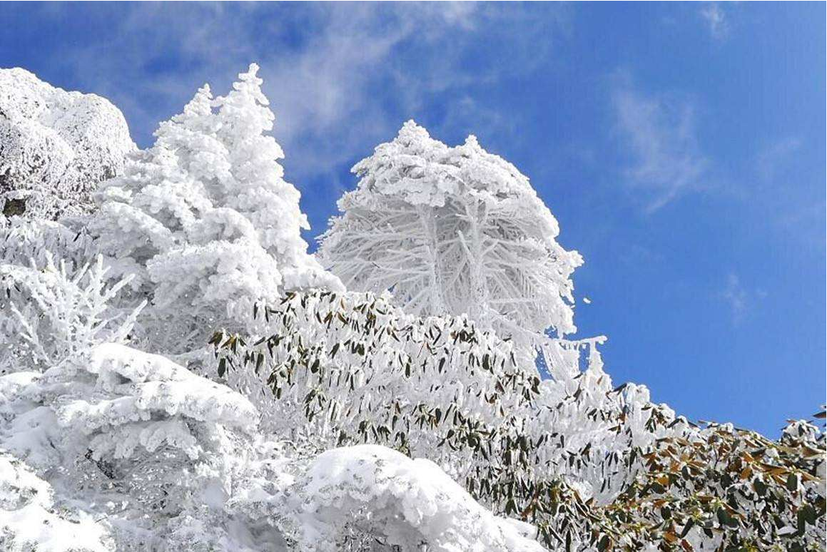 探访轿子雪山白雪皑皑雾凇壮观云雾缭绕攻略详解