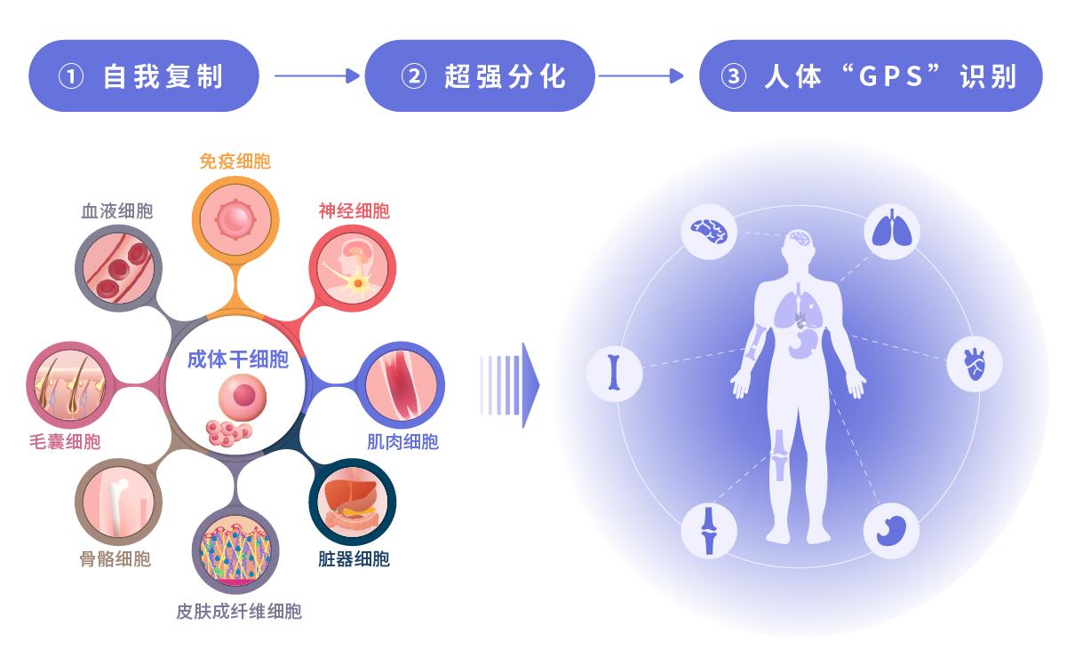 同一工程如何理解
