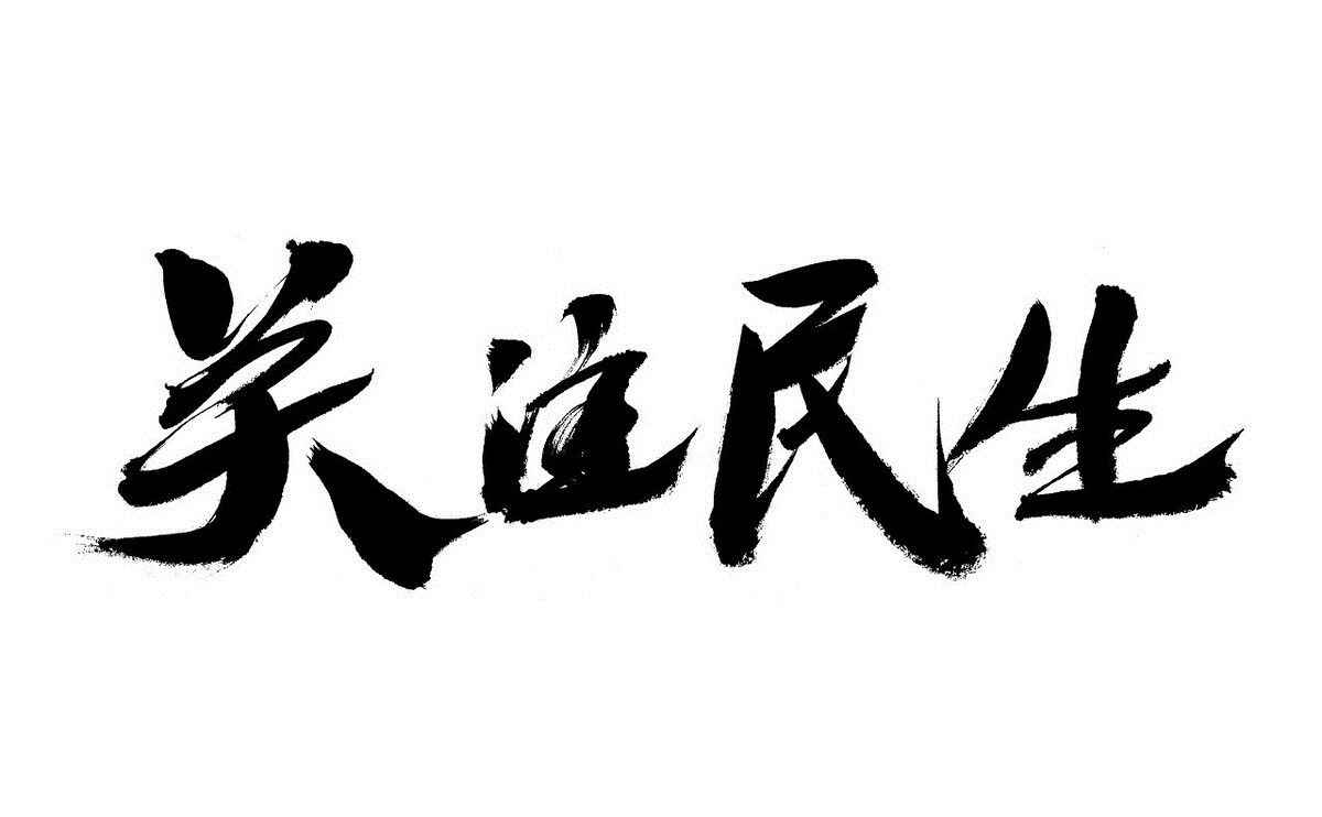 民生实事认真办,一枝一叶总关情