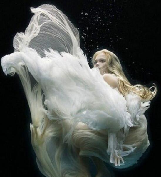 婚纱照|婚纱|白羊座_新浪新闻