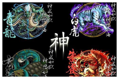 天之四灵是哪四个奇珍异兽呢 青龙 白虎 朱雀 玄武 财经头条 天之四灵是哪四个奇珍异兽呢 青龙 白虎 朱雀 玄武 财经头条