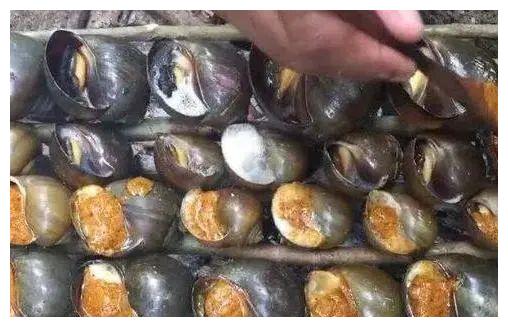 紧急提醒:发现这种黄花,立即上报!河南多地已出现!休闲区蓝鸢梦想 - Www.slyday.coM 紧急提醒:发现这种黄花,立即上报!河南多地已出现!休闲区蓝鸢梦想 - Www.slyday.coM