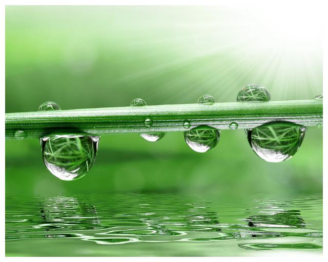 癸水的象意|膀胱|水果业|修鞋匠_新浪新闻