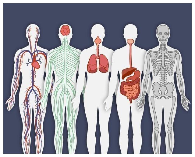 如果我们能够用体细胞克隆人的一部分器官,然后将这些健康未病变的