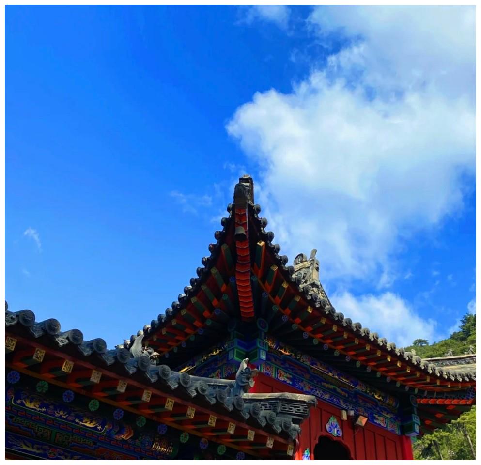 出马仙梦见狮子 狮子在出马仙文化中代表什么