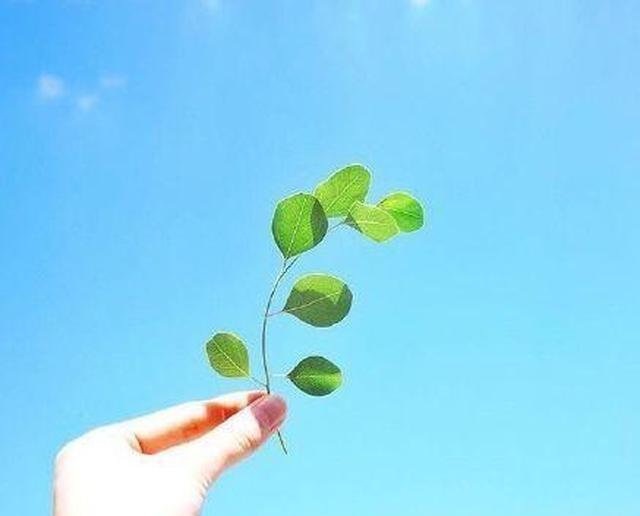 朋友圈经典暖心短句,唯美精致,沁人心脾!