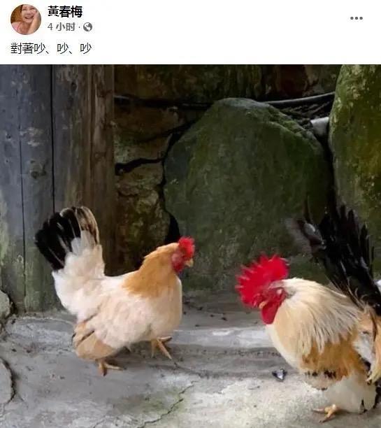 小S曝具俊晔新婚规划，确定大S不会去<a href=