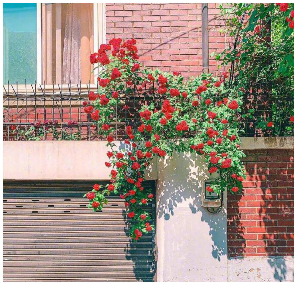 温柔的早安语录 经典有品味 被子 风铃 露珠 新浪新闻 温柔的早安语录 经典有品味 被子 风铃 露珠 新浪新闻