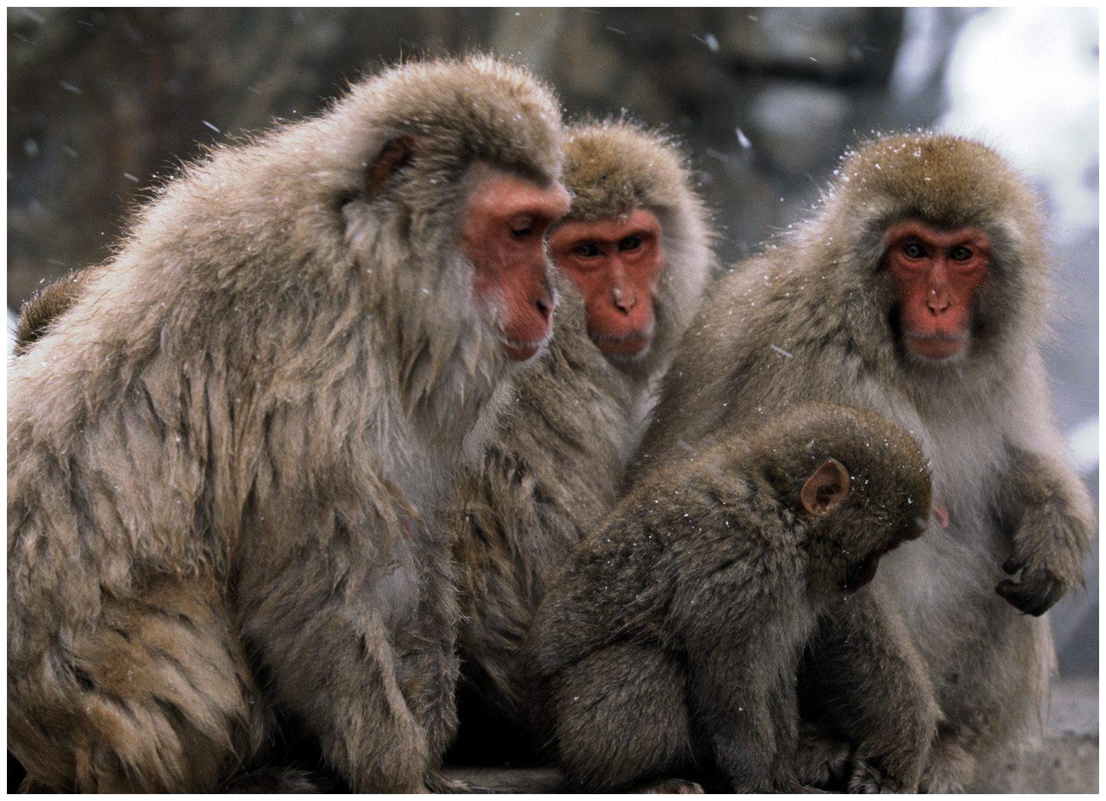 做事也非常懒散,其实他们是非常好强的,不仅有着雷厉风行的个性,做事