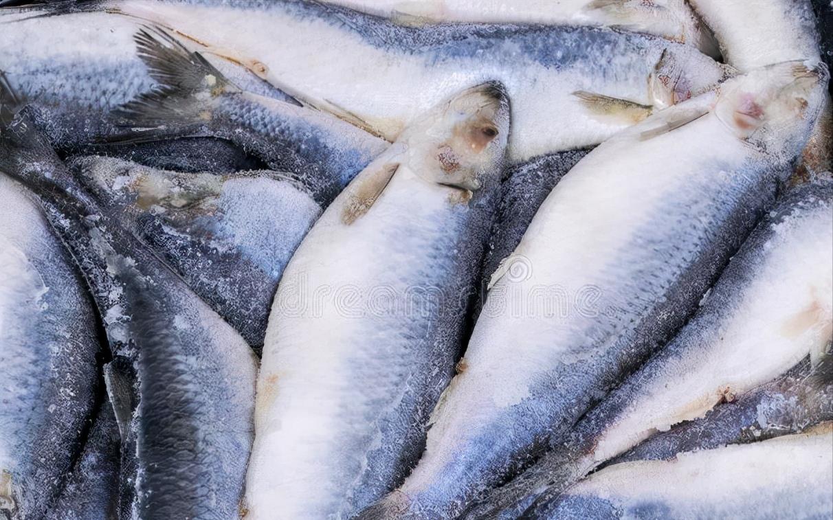 冰箱里的冻鱼,切忌再用清水泡,教你一招,5分钟就