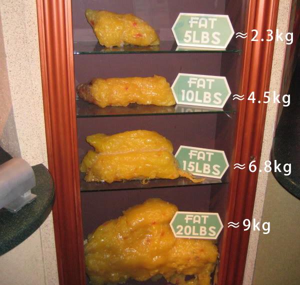 10斤肥肉照片图片