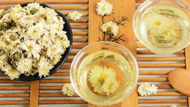 滁菊：中药与观赏花卉的独特魅力|滁菊|菊花|中药_新浪新闻