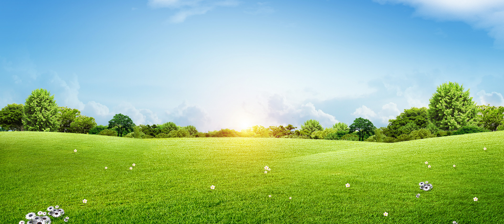 绿色软件联盟绿色联盟是做什么的