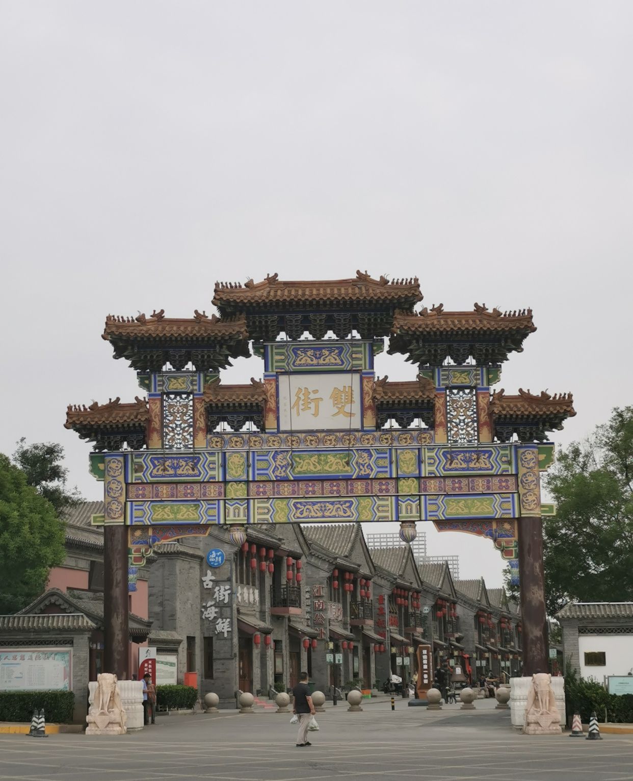 晨游天津双街古镇,鲜花丛中你独秀