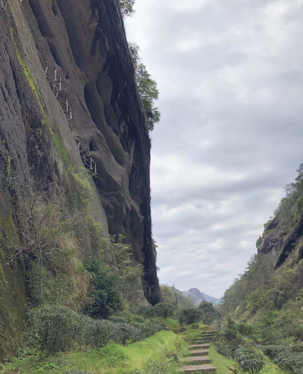 武夷山古崖居遗构——上仰悬崖,下邻深涧的古代空中阁楼