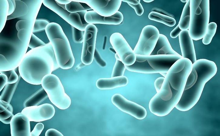 专利活菌护肠胃