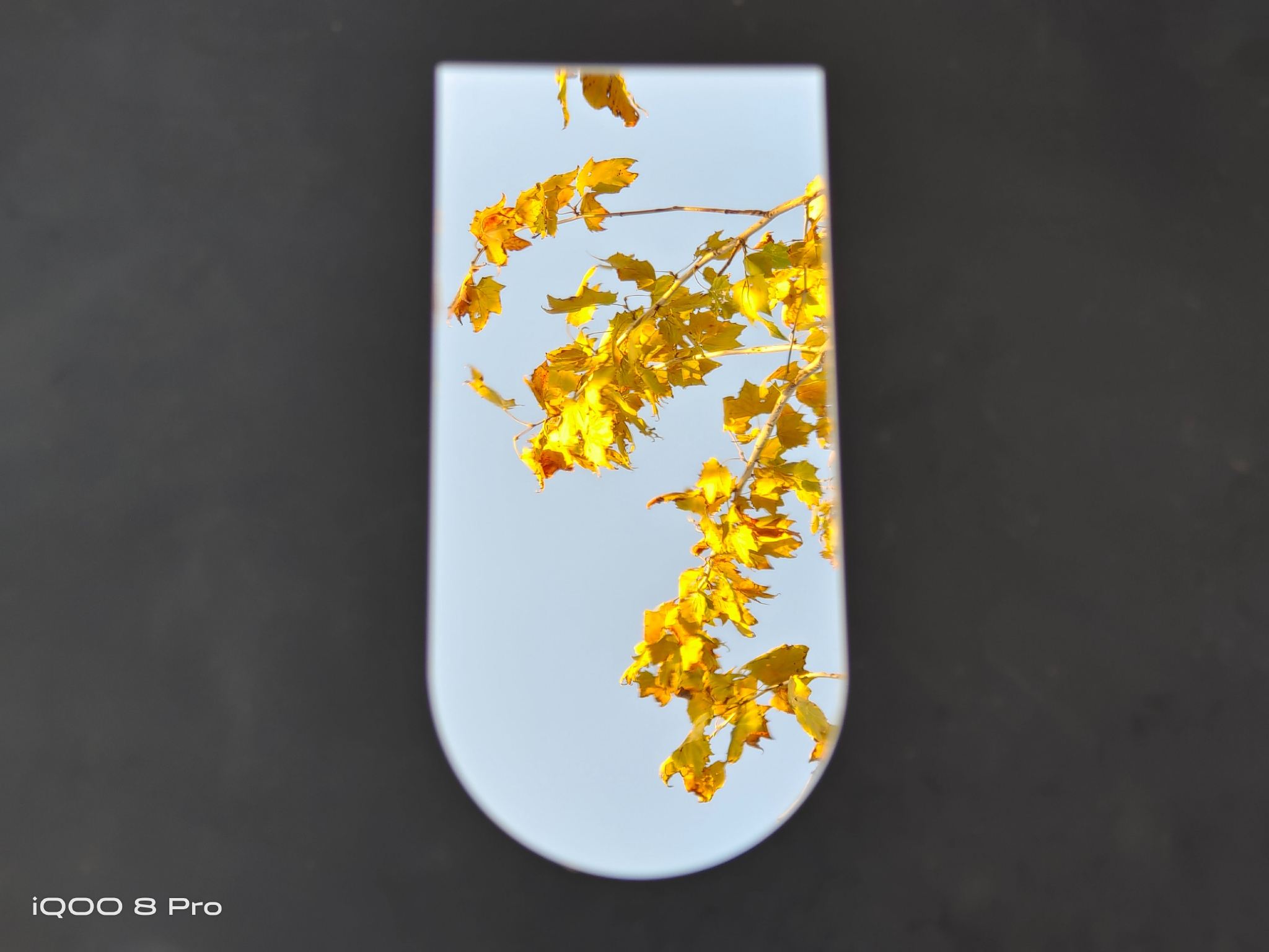 全面评测：iQOO 8 Pro同价位销量夺冠  为什么这么多人选择它？休闲区蓝鸢梦想 - Www.slyday.coM