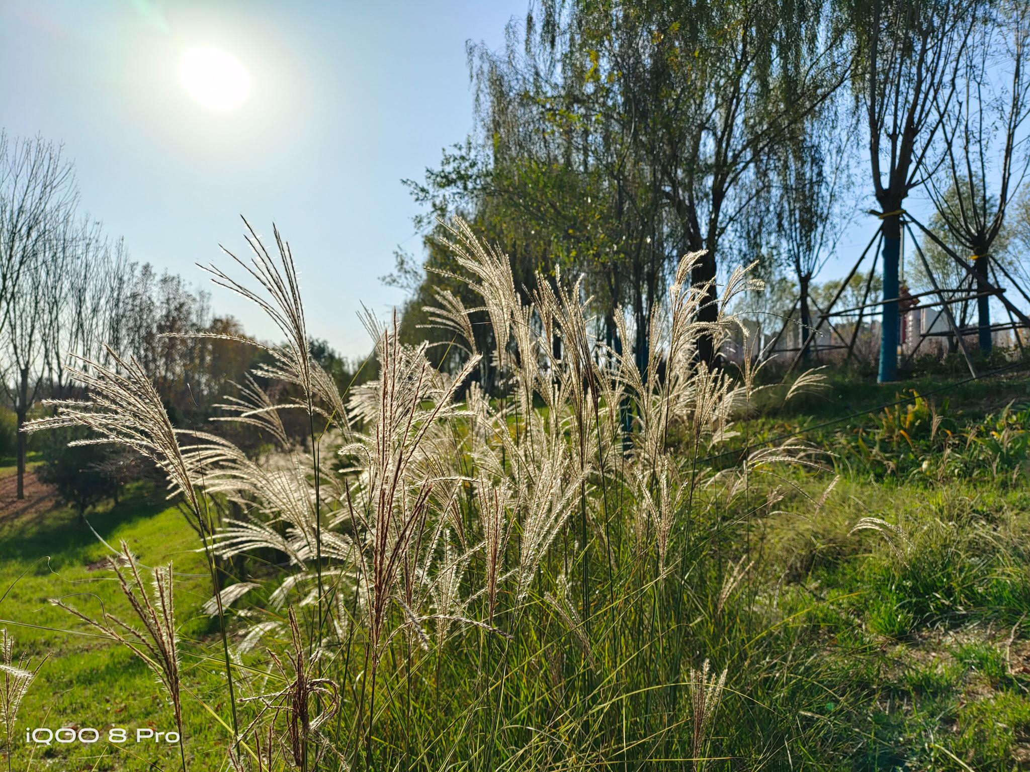 全面评测：iQOO 8 Pro同价位销量夺冠  为什么这么多人选择它？休闲区蓝鸢梦想 - Www.slyday.coM