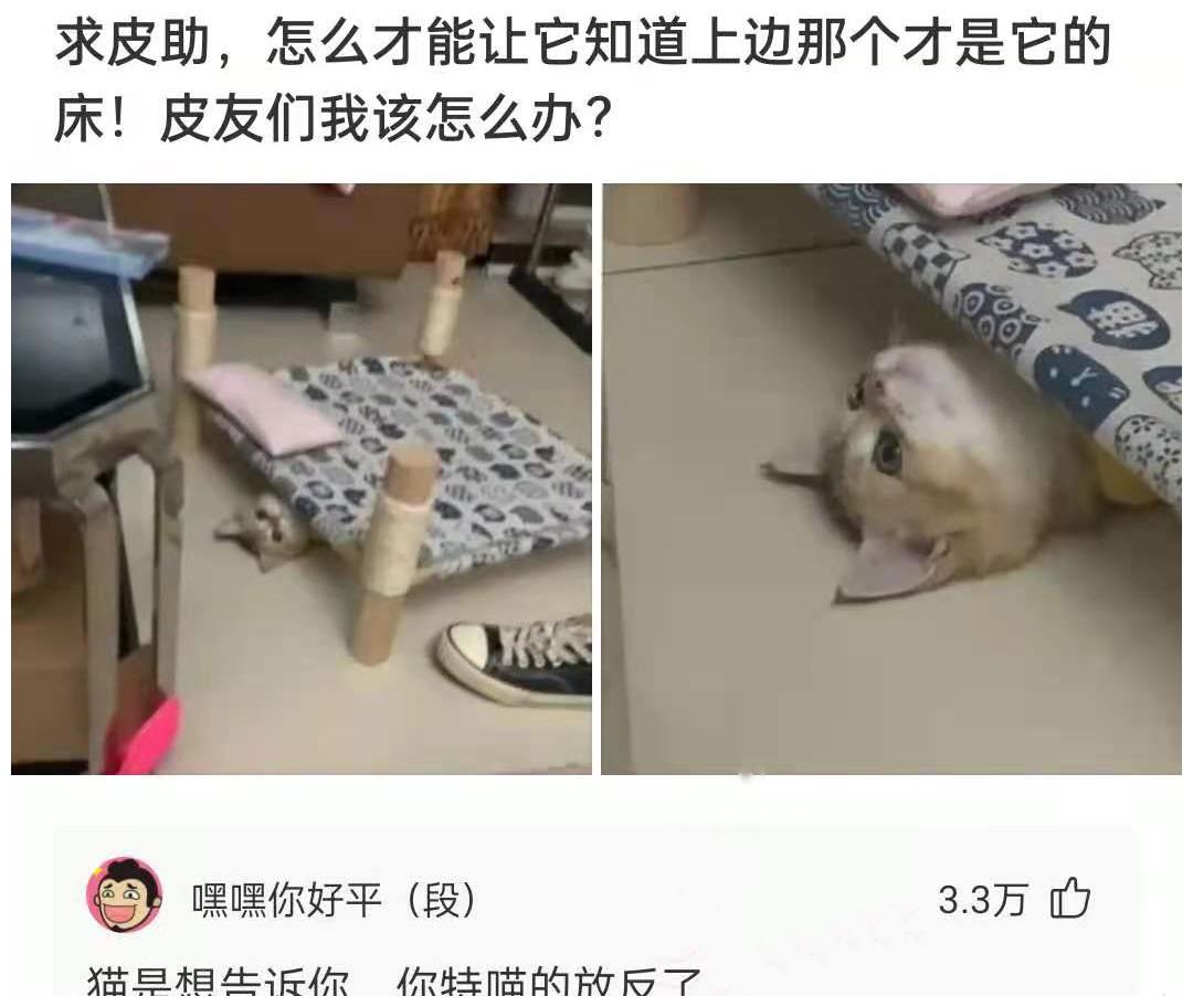 是不是可以发明一种纸币，这样手机没电的话也可以买东西？休闲区蓝鸢梦想 - Www.slyday.coM