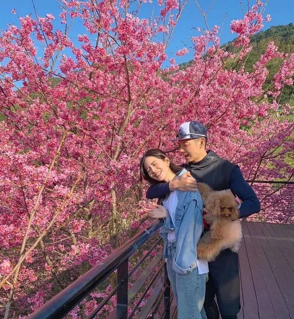 新婚夫妇蜜月照来啦!辰亦儒曾之乔
