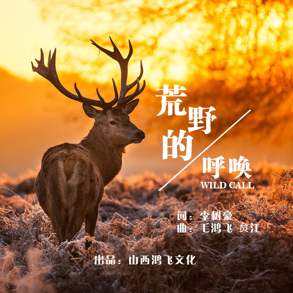 山西鸿飞传媒倾力打造公益歌曲荒野的呼唤呼吁保护生态环境